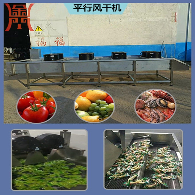 翻轉(zhuǎn)式調(diào)料包風(fēng)干機(jī) 全自動(dòng)豆干風(fēng)干機(jī) ，網(wǎng)帶式魔芋豆腐腐竹風(fēng)干機(jī)