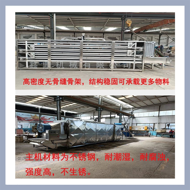 魷魚干大型網(wǎng)鏈干燥機(jī)