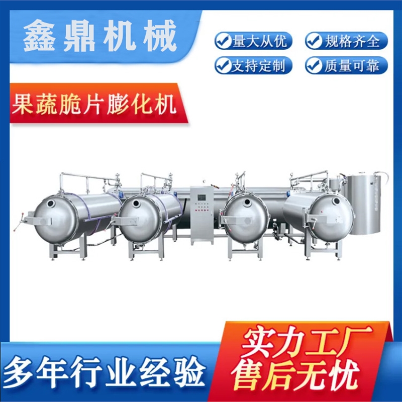 果蔬脆片閃蒸設備真空干燥機